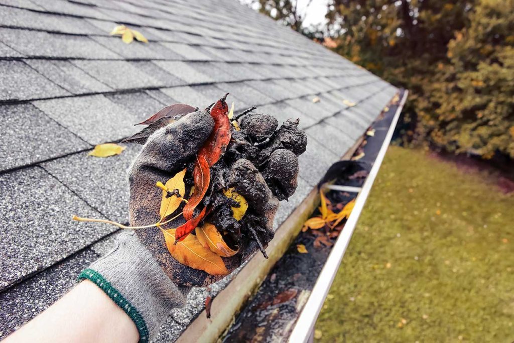 gutter cleaning Services